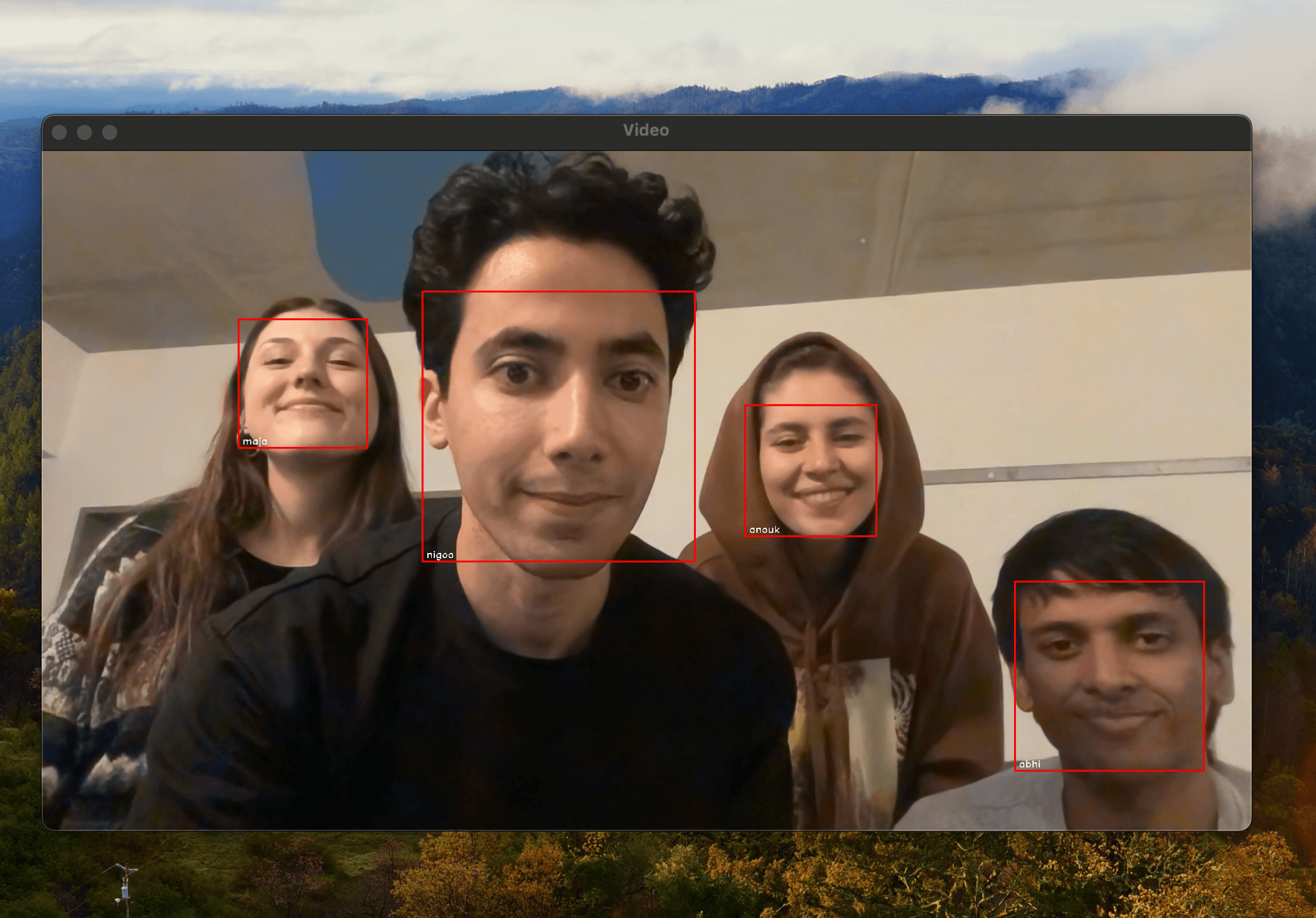 Visualization for Real-time Face Detection